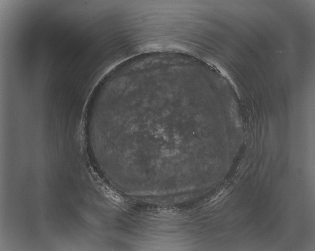 X0000073860975200608241104