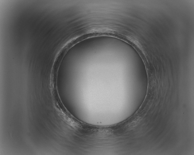 X0000073860979200608241104