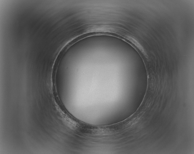 X0000073860980200608241104