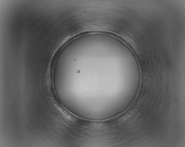 X0000073860982200608241104