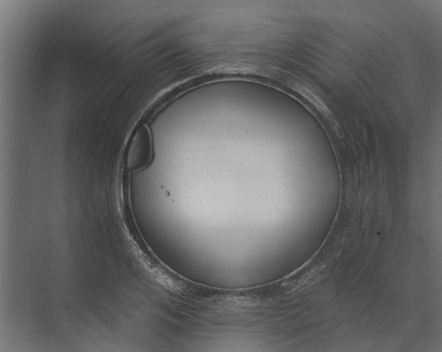 X0000073860984200608241104