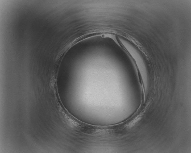 X0000073860985200608241104