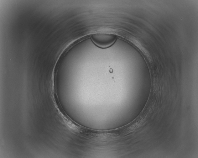 X0000073860988200608241104