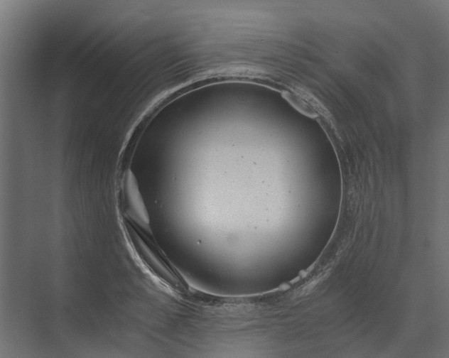 X0000073860989200608241104