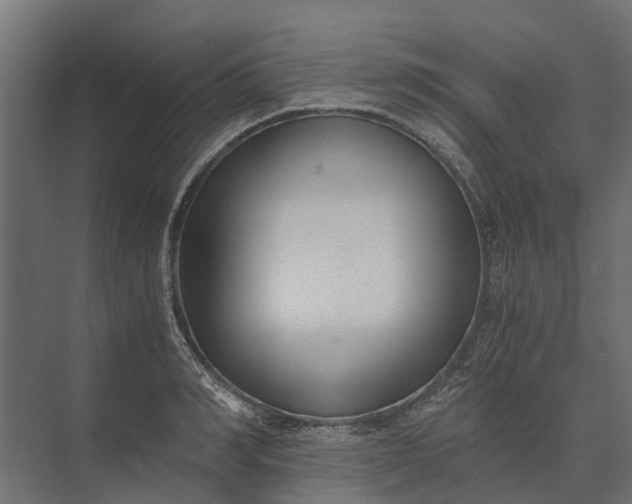 X0000073860990200608241104