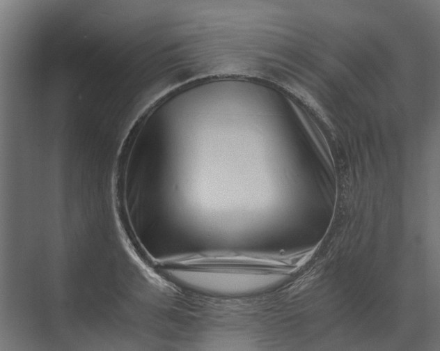 X0000073860991200608241104