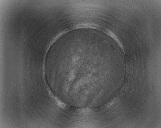 X0000073860994200608241104