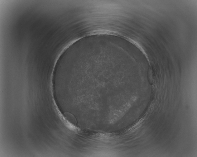 X0000073860995200608241104