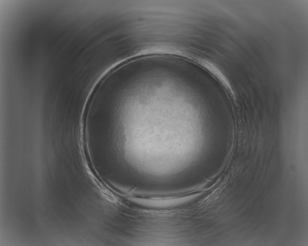 X0000073860996200608241104