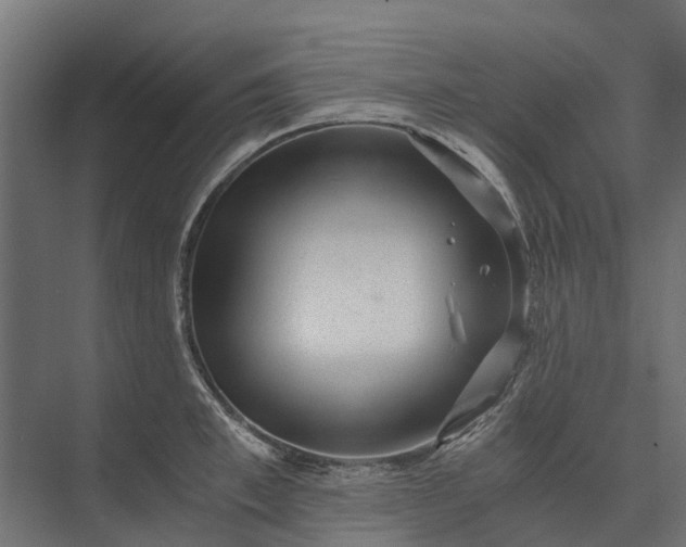 X0000073860997200608241104