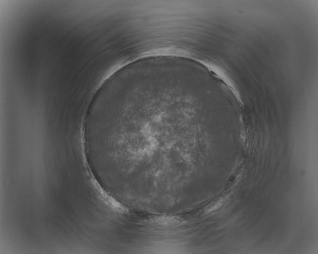 X0000073860998200608241104