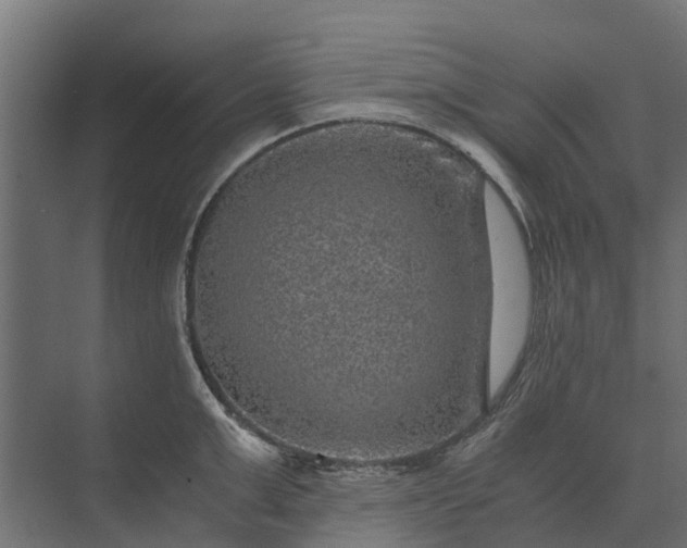 X0000073860999200608241104