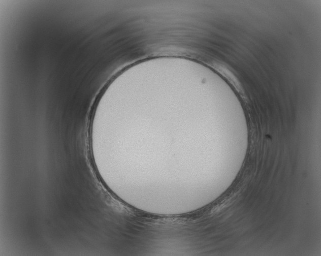 X0000073861000200608241104