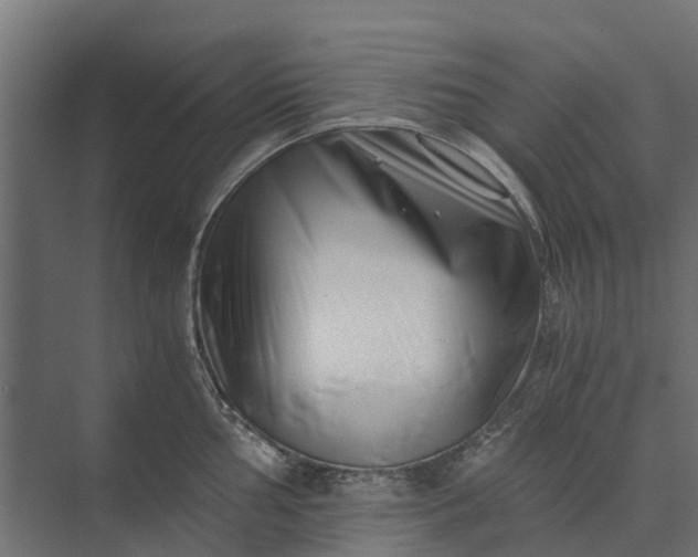 X0000073861002200608241104