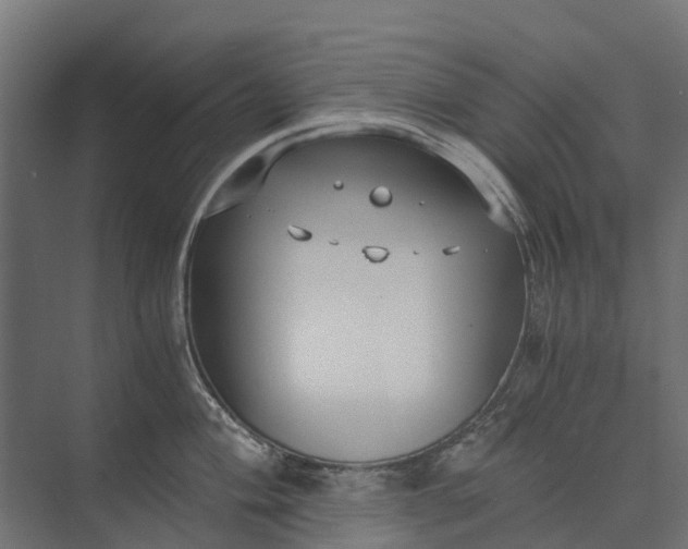 X0000073861004200608241104