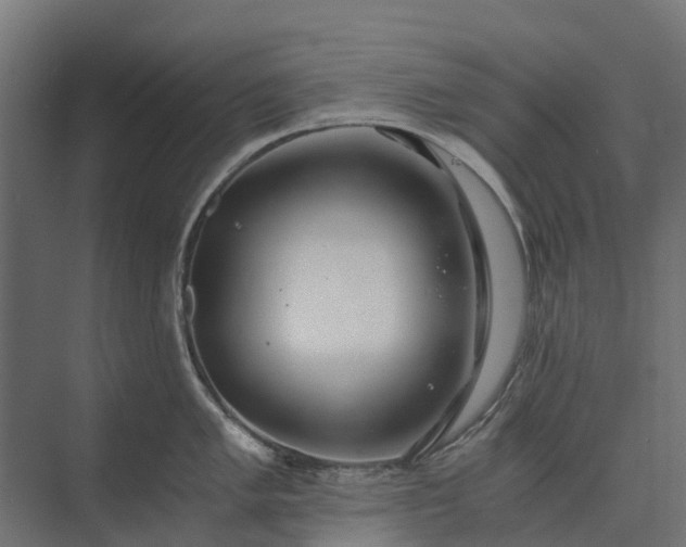 X0000073861005200608241104