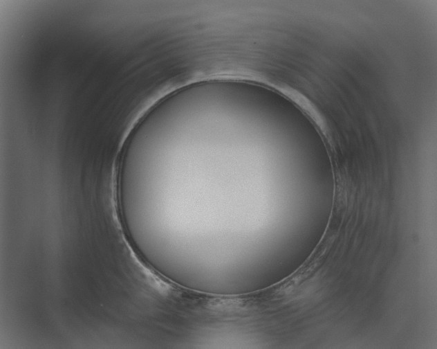 X0000073861006200608241104