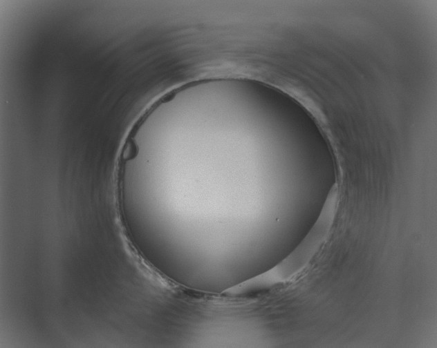 X0000073861008200608241103