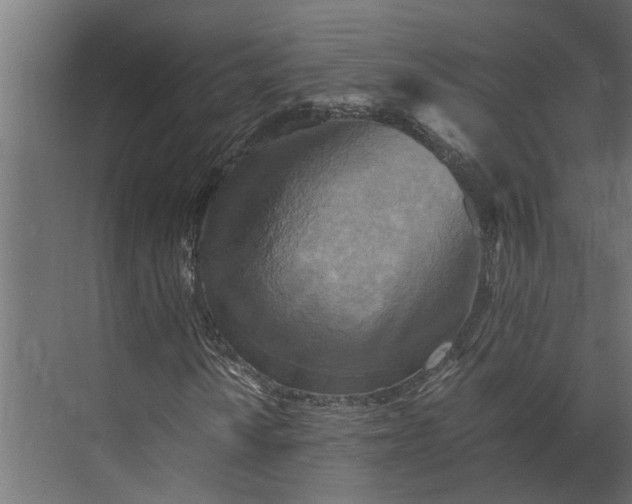 X0000073861010200608241103