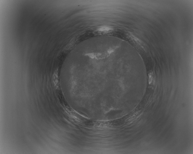 X0000073861011200608241103