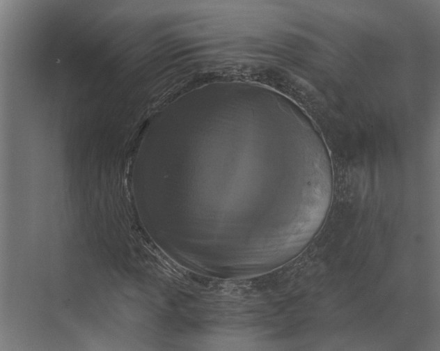 X0000073861013200608241103