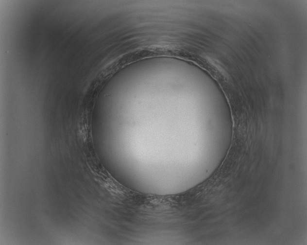 X0000073861015200608241103