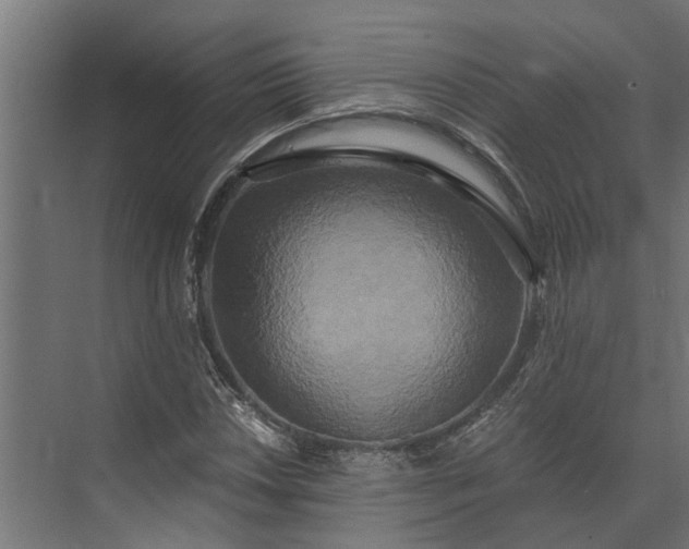 X0000073861018200608241103