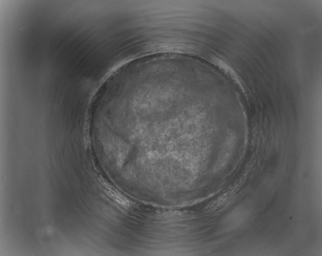 X0000073861019200608241103