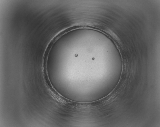 X0000073861020200608241103