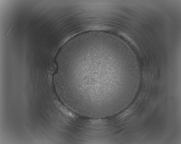 X0000073861025200608241103