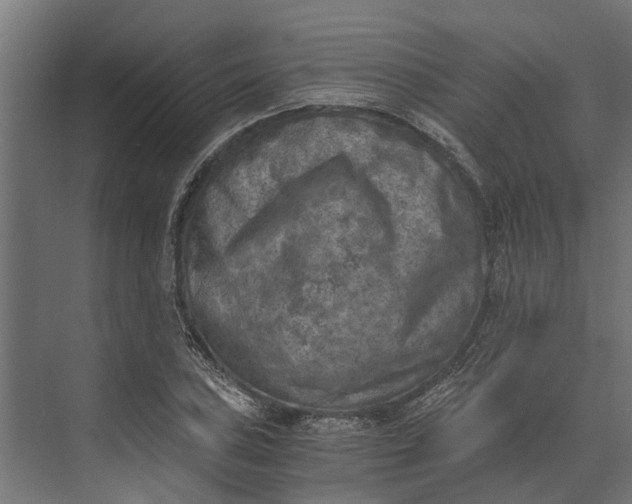 X0000073861027200608241103