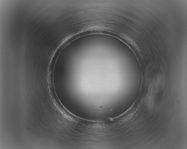 X0000073861029200608241103