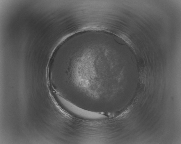 X0000073861030200608241103