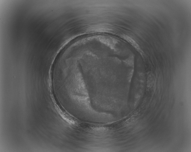 X0000073861031200608241103