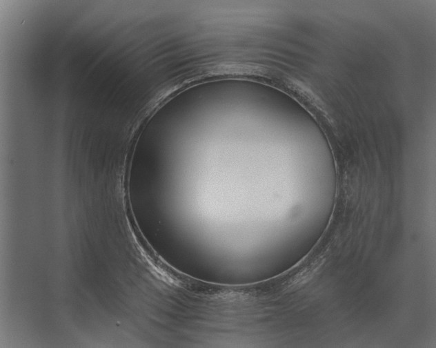 X0000073861033200608241103