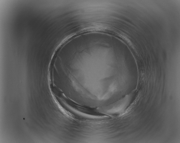 X0000073861034200608241103