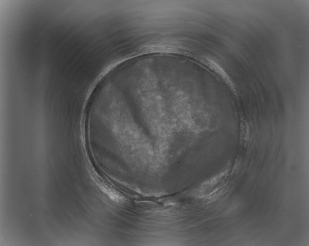 X0000073861035200608241103