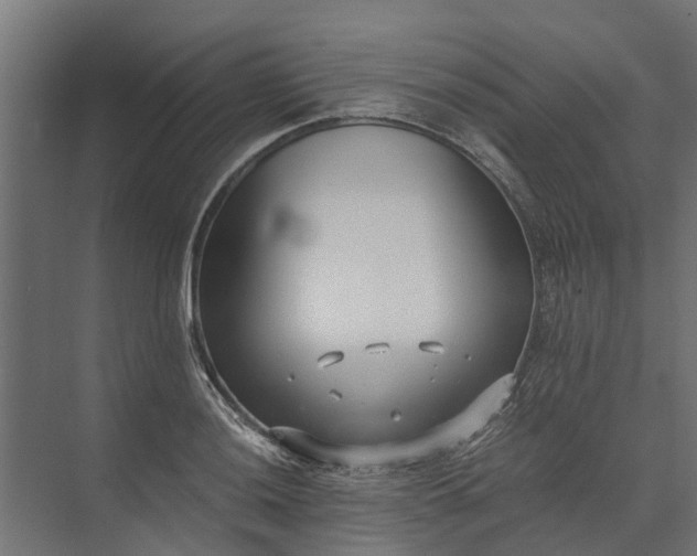 X0000073861036200608241103