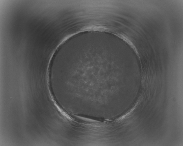 X0000073861037200608241103