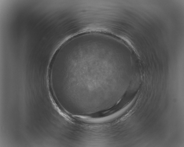 X0000073861038200608241103