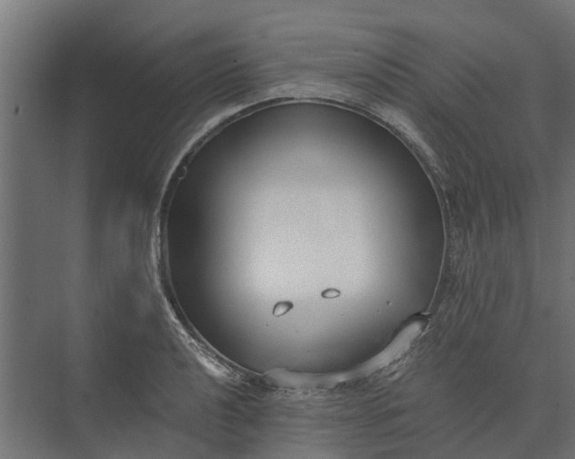 X0000073861040200608241103