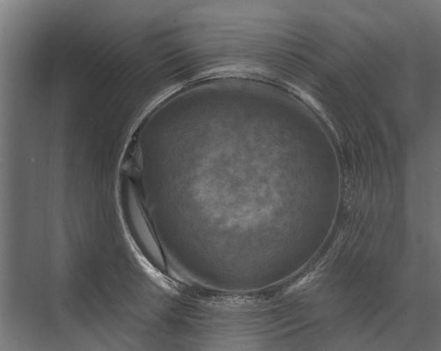 X0000073861042200608241103