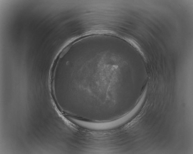 X0000073861046200608241103