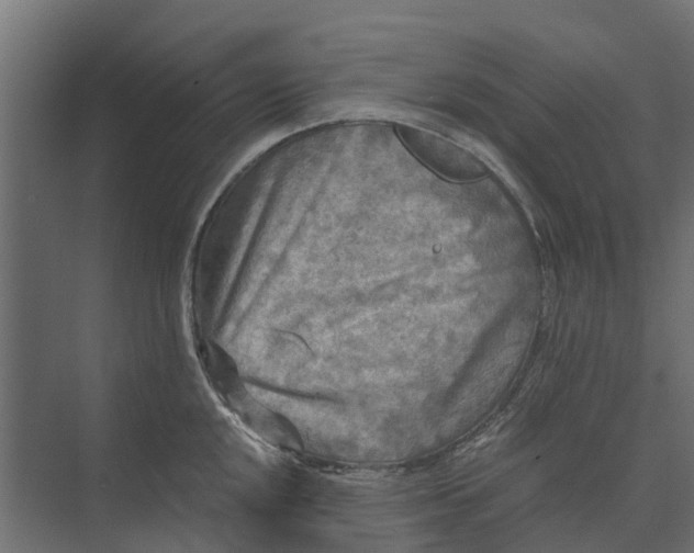 X0000073861048200608241103