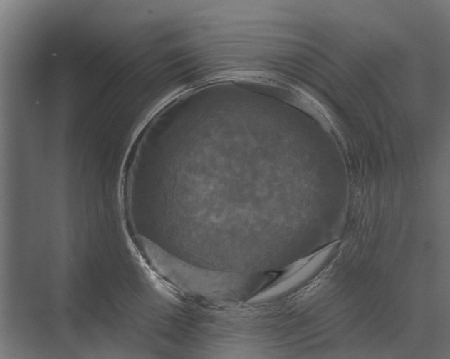 X0000073861050200608241103