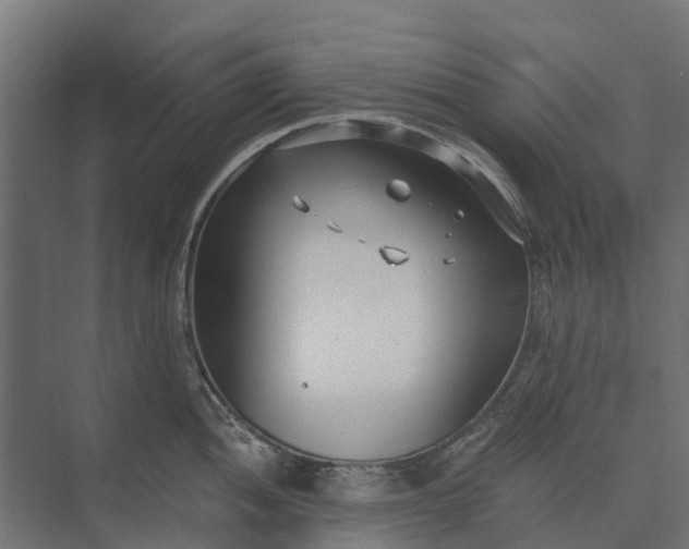 X0000073861052200608241103