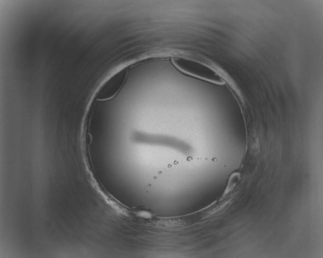 X0000073861053200608241103