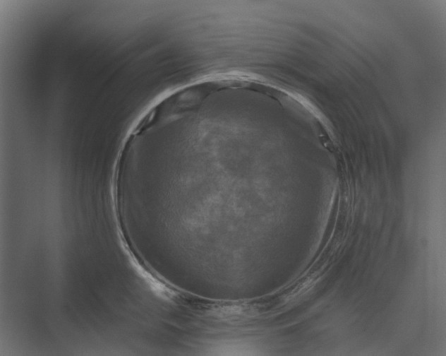 X0000073861054200608241103