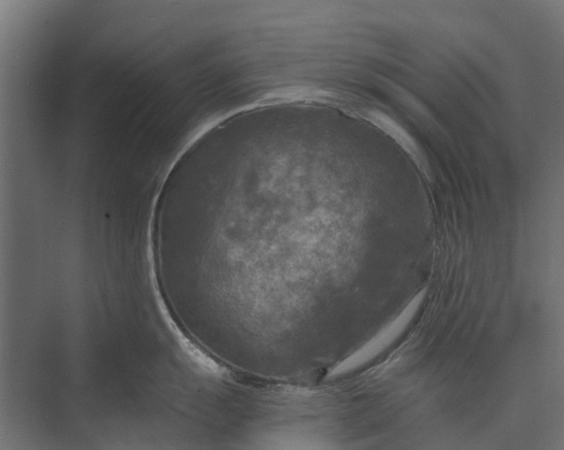 X0000073861055200608241103