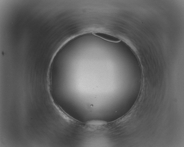 X0000073861056200608241103